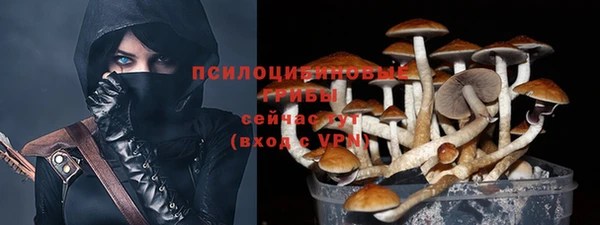 МДПВ Армянск