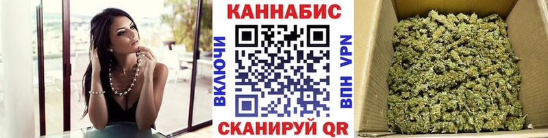 это клад  Заполярный  Бошки Шишки план 