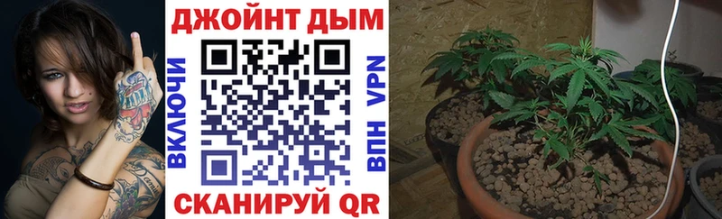 Конопля LSD WEED Заполярный